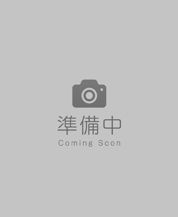 日本 ビスカ