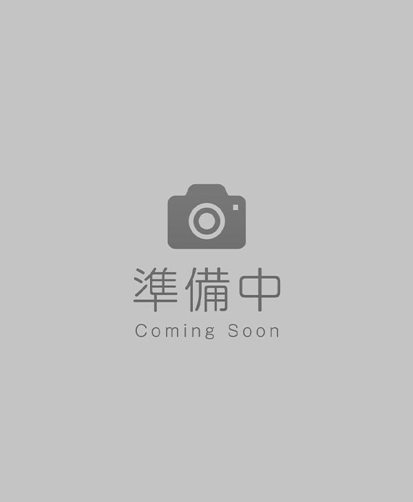 日本 ビスカ