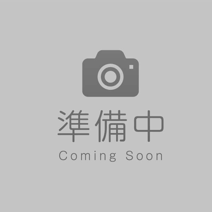 日本 ビスカ