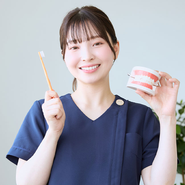 日本 ビスカ